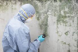 Asbestos and Lead Testing During Mold Inspection in Point Lookout, NY